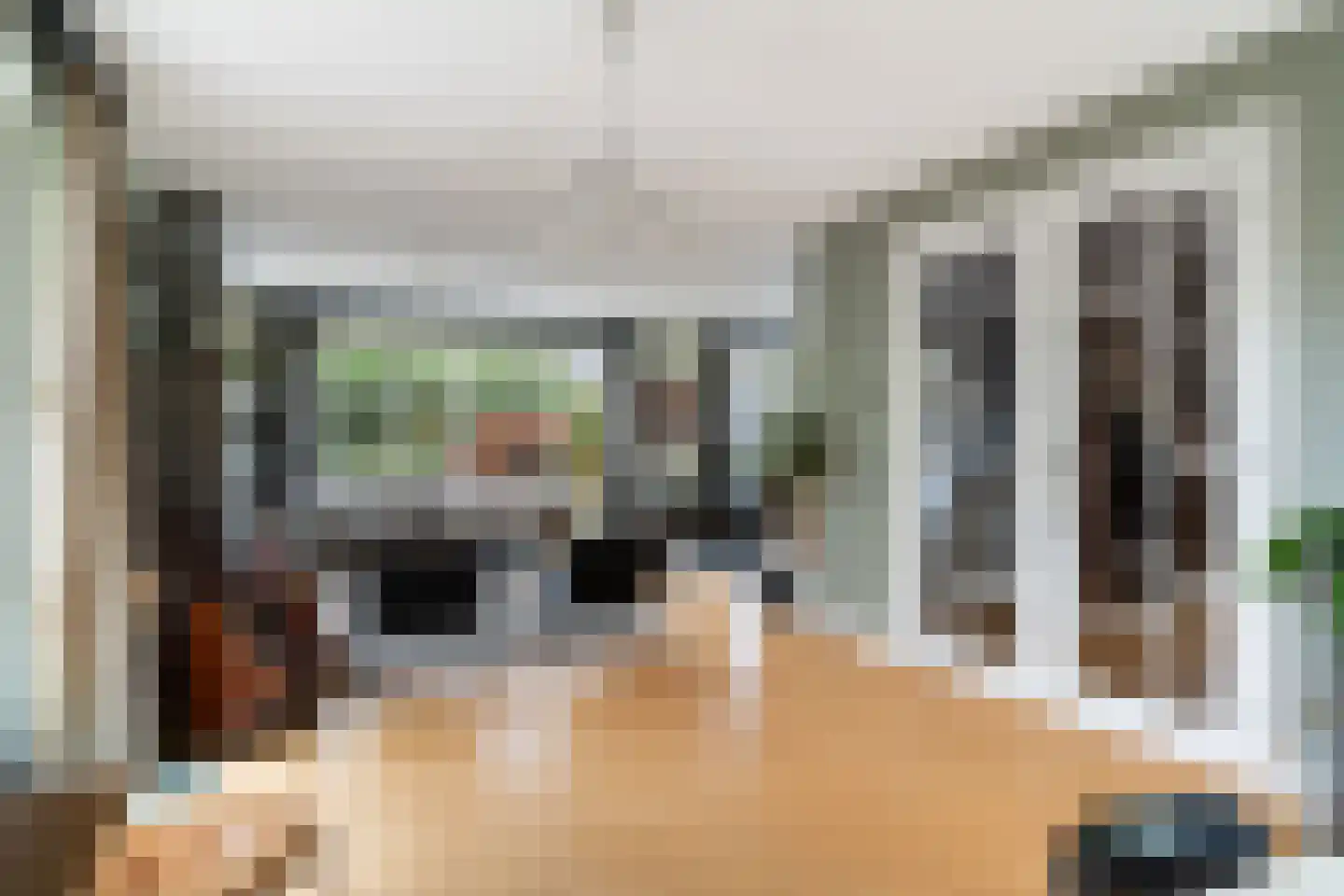 Tomatenlaan 3 C Den Haag thumbnail 5