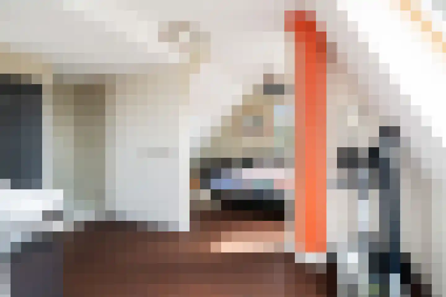 Tomatenlaan 3 C Den Haag thumbnail 51