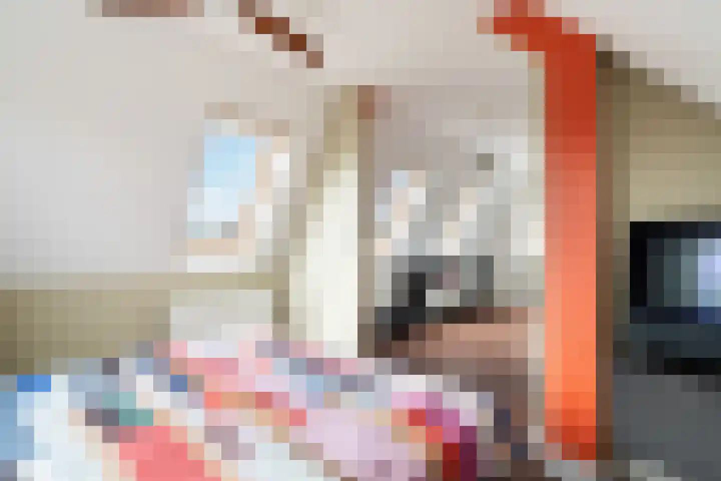 Tomatenlaan 3 C Den Haag thumbnail 54