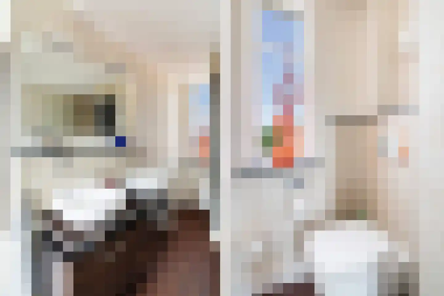 Tomatenlaan 3 C Den Haag thumbnail 57