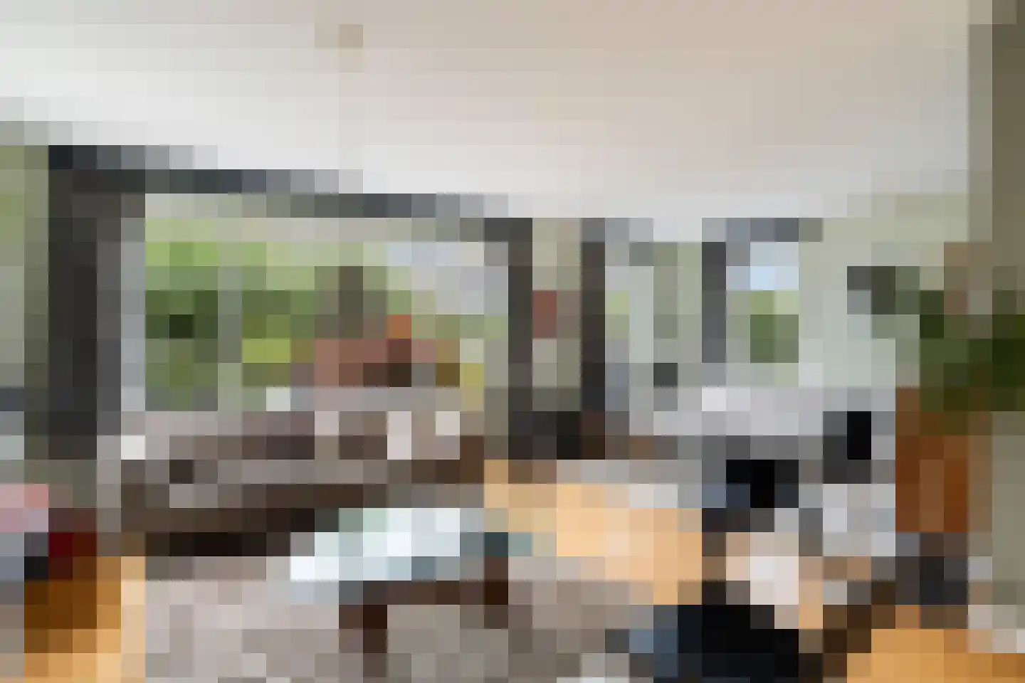 Tomatenlaan 3 C Den Haag thumbnail 6