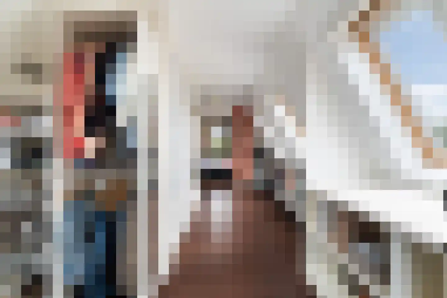Tomatenlaan 3 C Den Haag thumbnail 63
