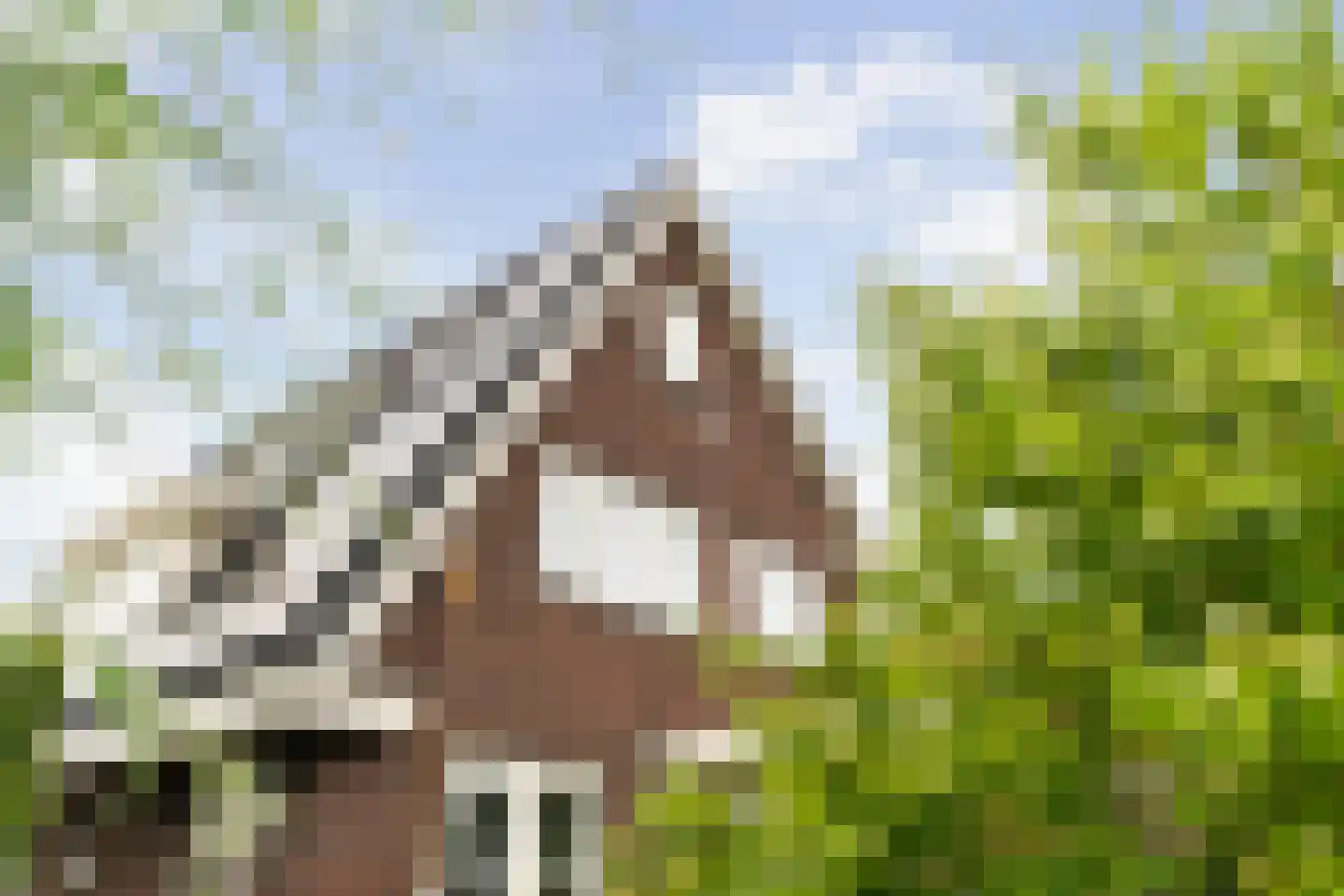 Tomatenlaan 3 C Den Haag thumbnail 64