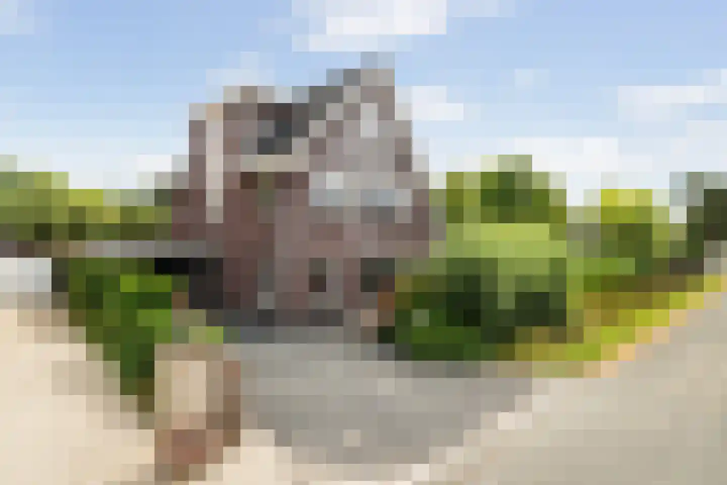 Tomatenlaan 3 C Den Haag thumbnail 68
