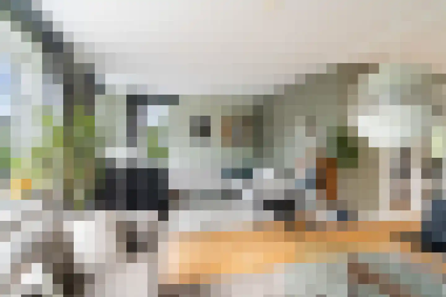 Tomatenlaan 3 C Den Haag thumbnail 7