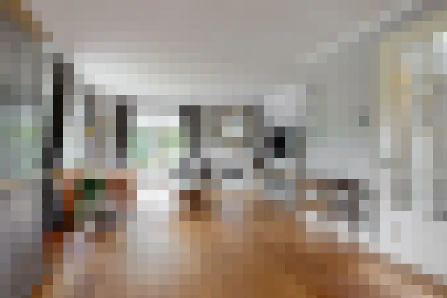 Tomatenmarkt 40 Zwaagdijk-Oost thumbnail 10
