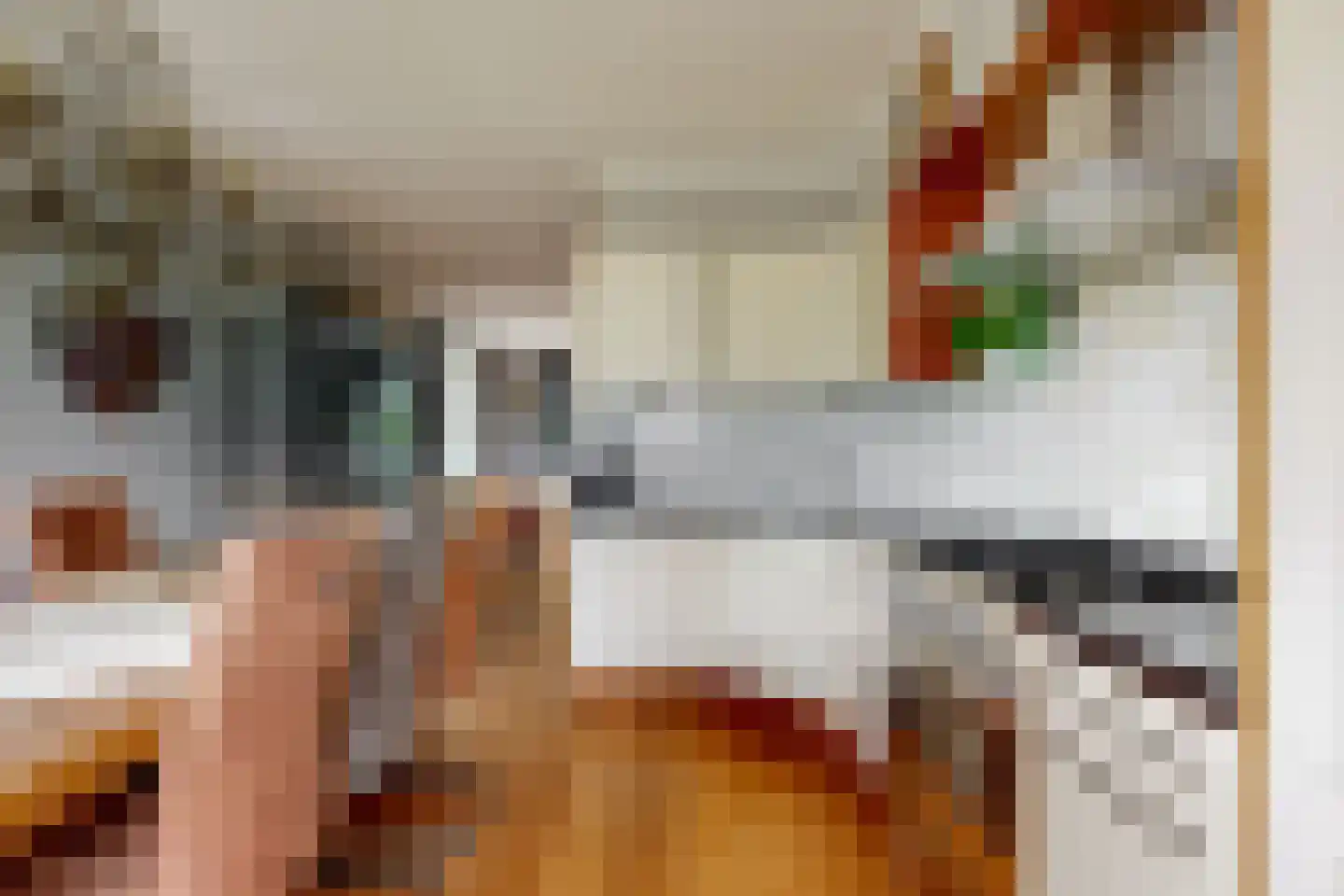 Tomatenmarkt 40 Zwaagdijk-Oost thumbnail 16