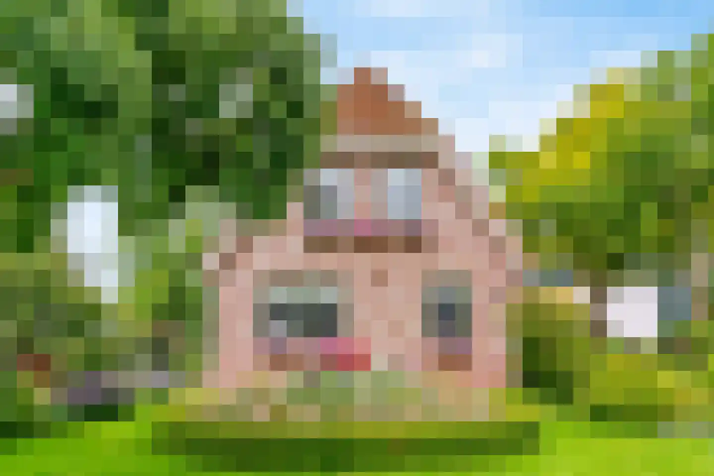 Tomatenmarkt 40 Zwaagdijk-Oost thumbnail 29
