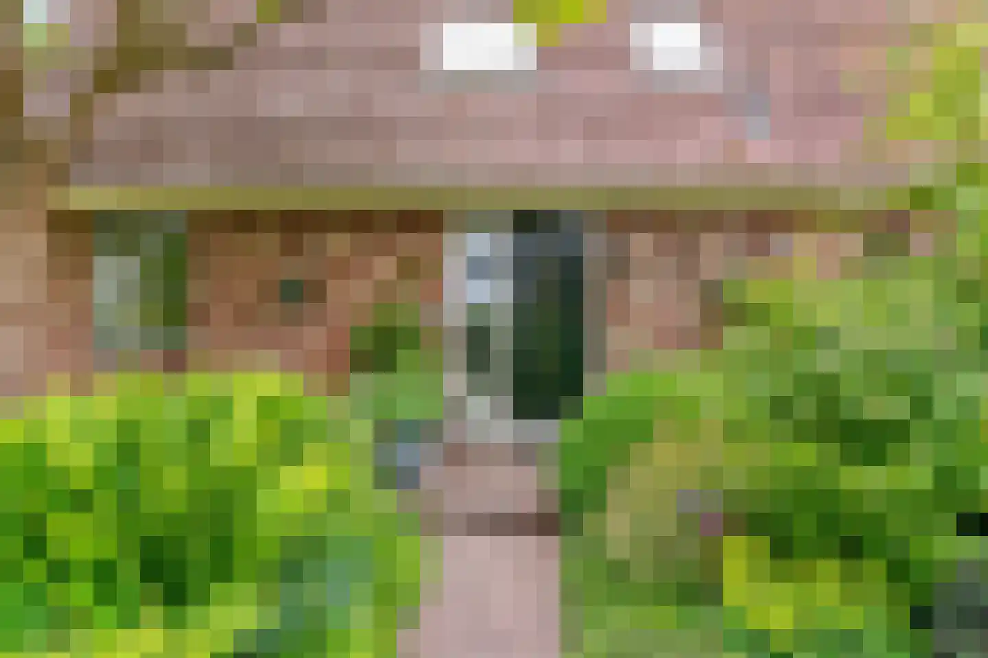 Tomatenmarkt 40 Zwaagdijk-Oost thumbnail 30