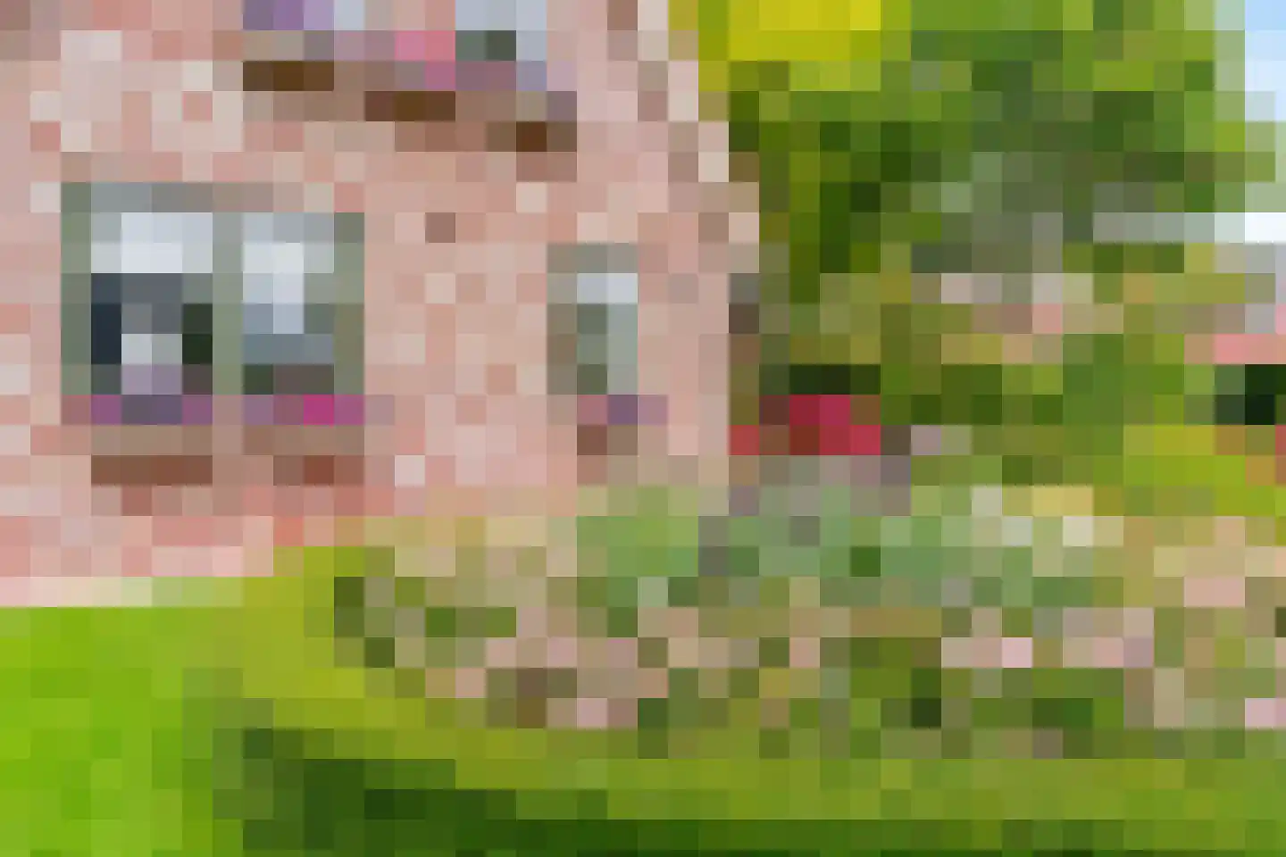Tomatenmarkt 40 Zwaagdijk-Oost thumbnail 33