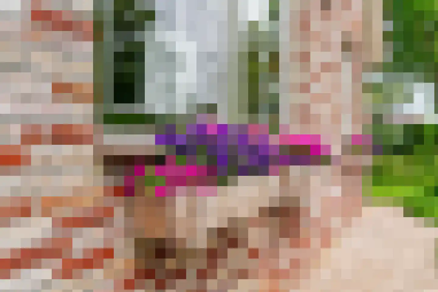 Tomatenmarkt 40 Zwaagdijk-Oost thumbnail 34