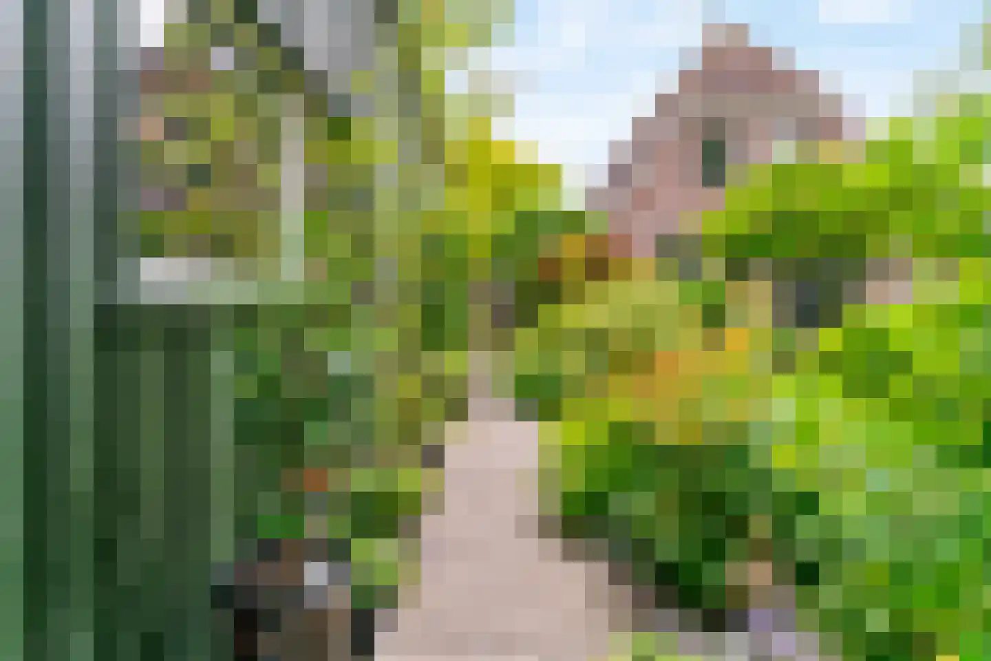Tomatenmarkt 40 Zwaagdijk-Oost thumbnail 40