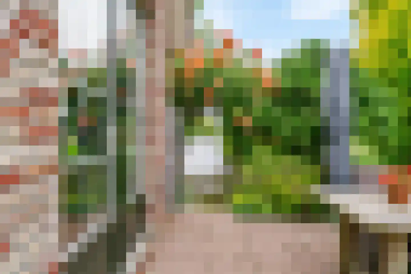 Tomatenmarkt 40 Zwaagdijk-Oost thumbnail 43