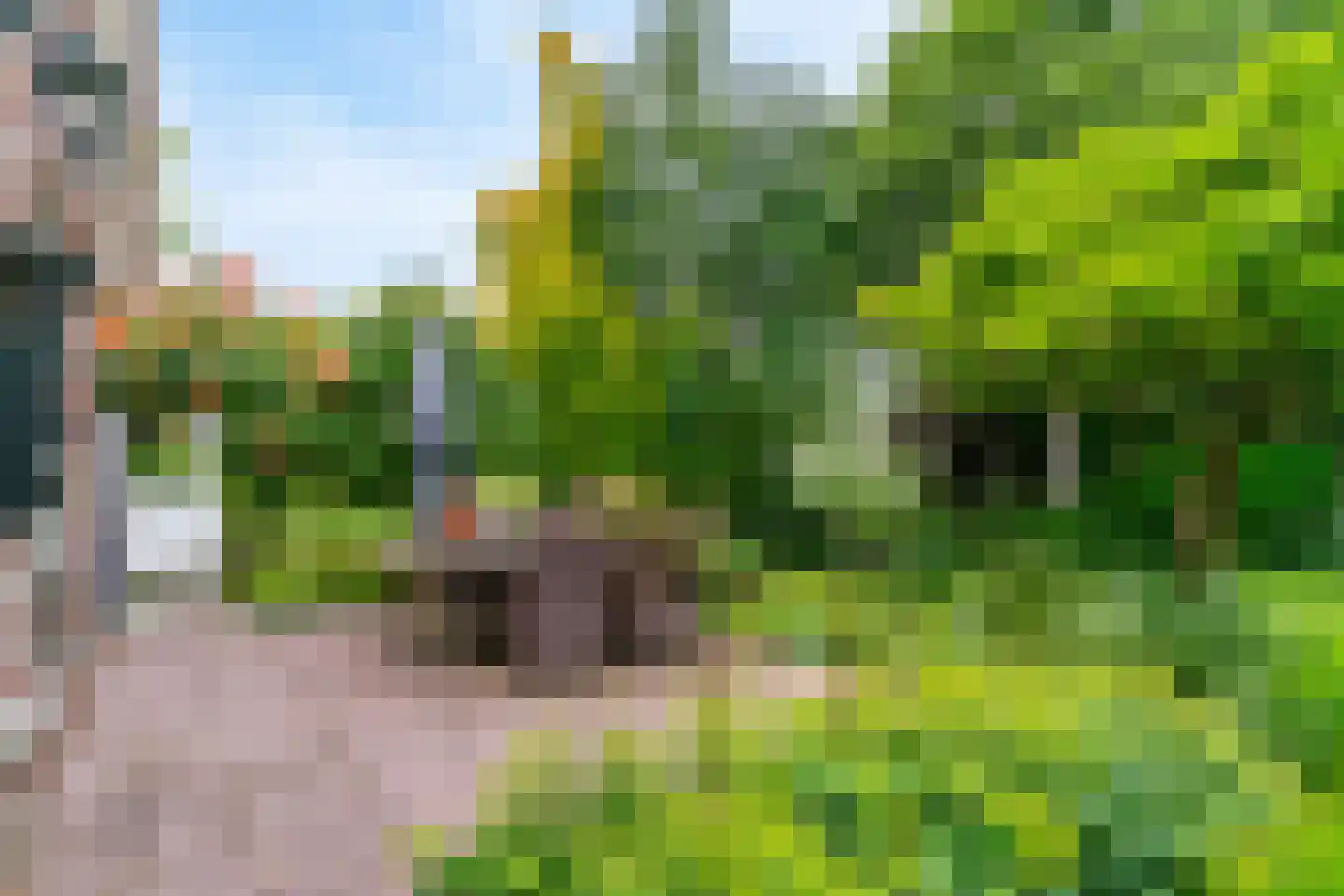 Tomatenmarkt 40 Zwaagdijk-Oost thumbnail 44