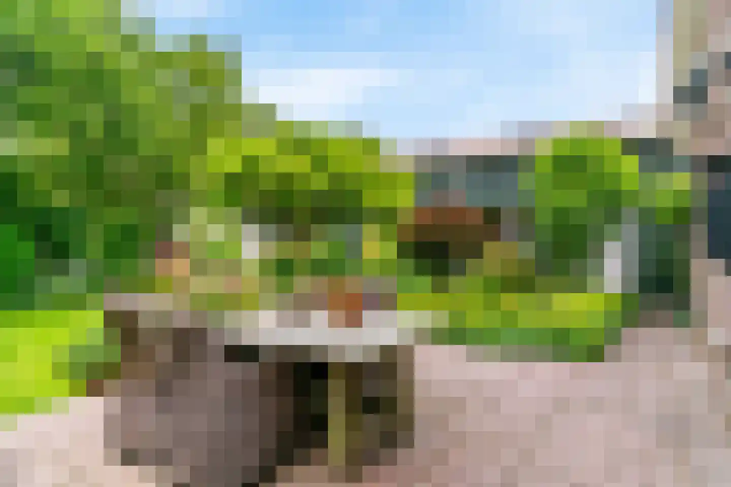 Tomatenmarkt 40 Zwaagdijk-Oost thumbnail 47