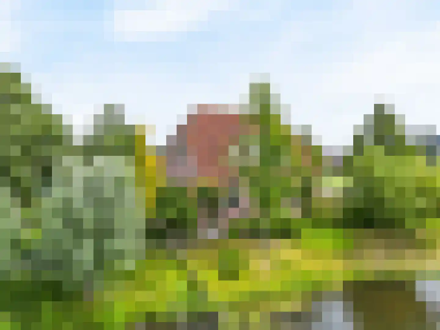 Tomatenmarkt 40 Zwaagdijk-Oost thumbnail 48