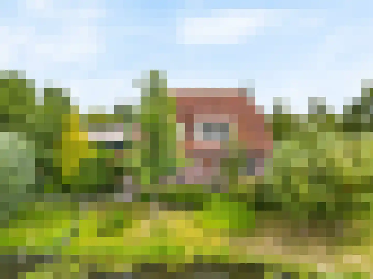 Tomatenmarkt 40 Zwaagdijk-Oost thumbnail 49