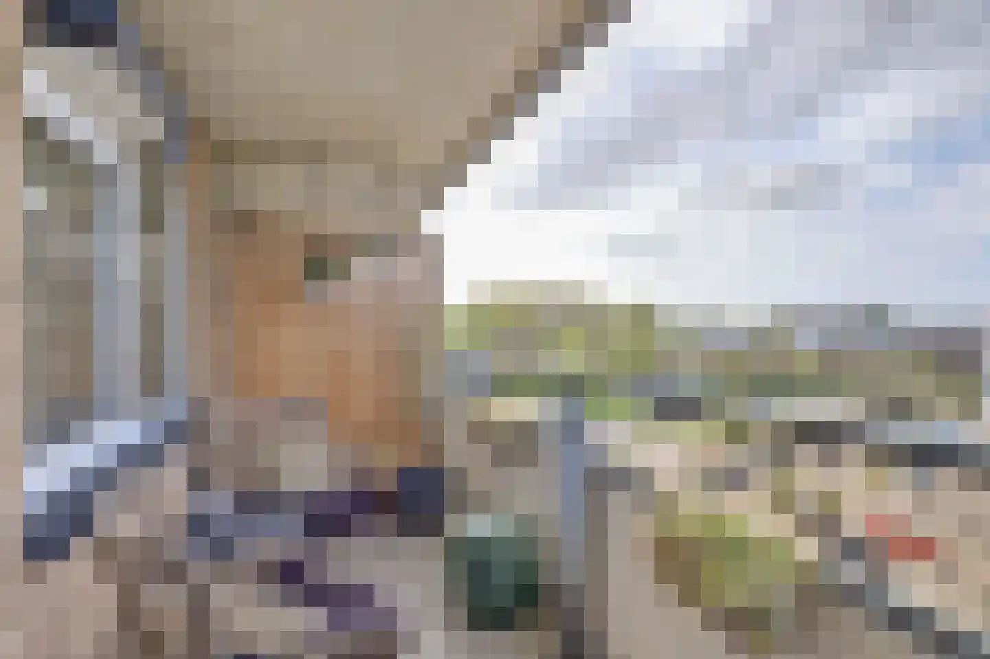 Tomatenplein 195 Zwijndrecht thumbnail 37