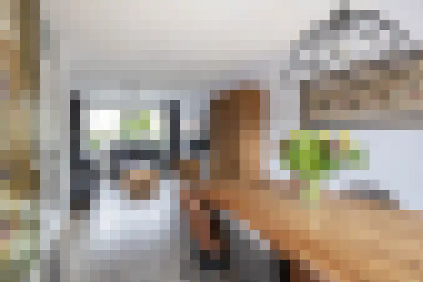 Tomatenplein 3 Zwijndrecht thumbnail 10