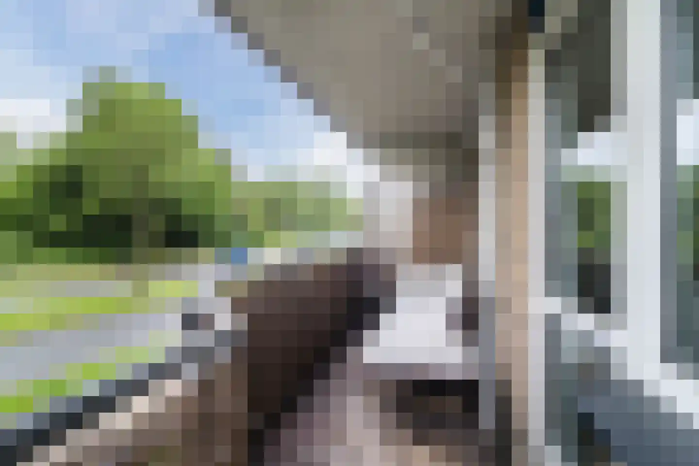 Tomatenplein 34 Zwijndrecht thumbnail 21