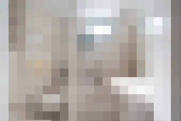 Tomatenplein 4 Zwijndrecht thumbnail 23