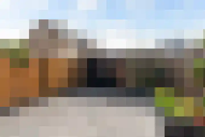 Tomatenplein 4 Zwijndrecht thumbnail 28