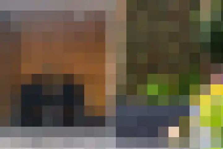 Tomatenplein 4 Zwijndrecht thumbnail 29