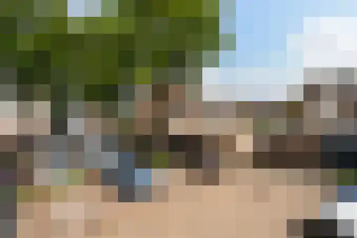 Tomatenplein 4 Zwijndrecht thumbnail 31