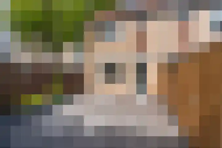 Tomatenplein 4 Zwijndrecht thumbnail 6