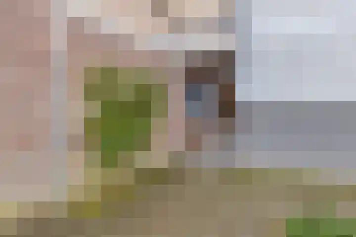 Tomatenplein 48 Zwijndrecht thumbnail 4