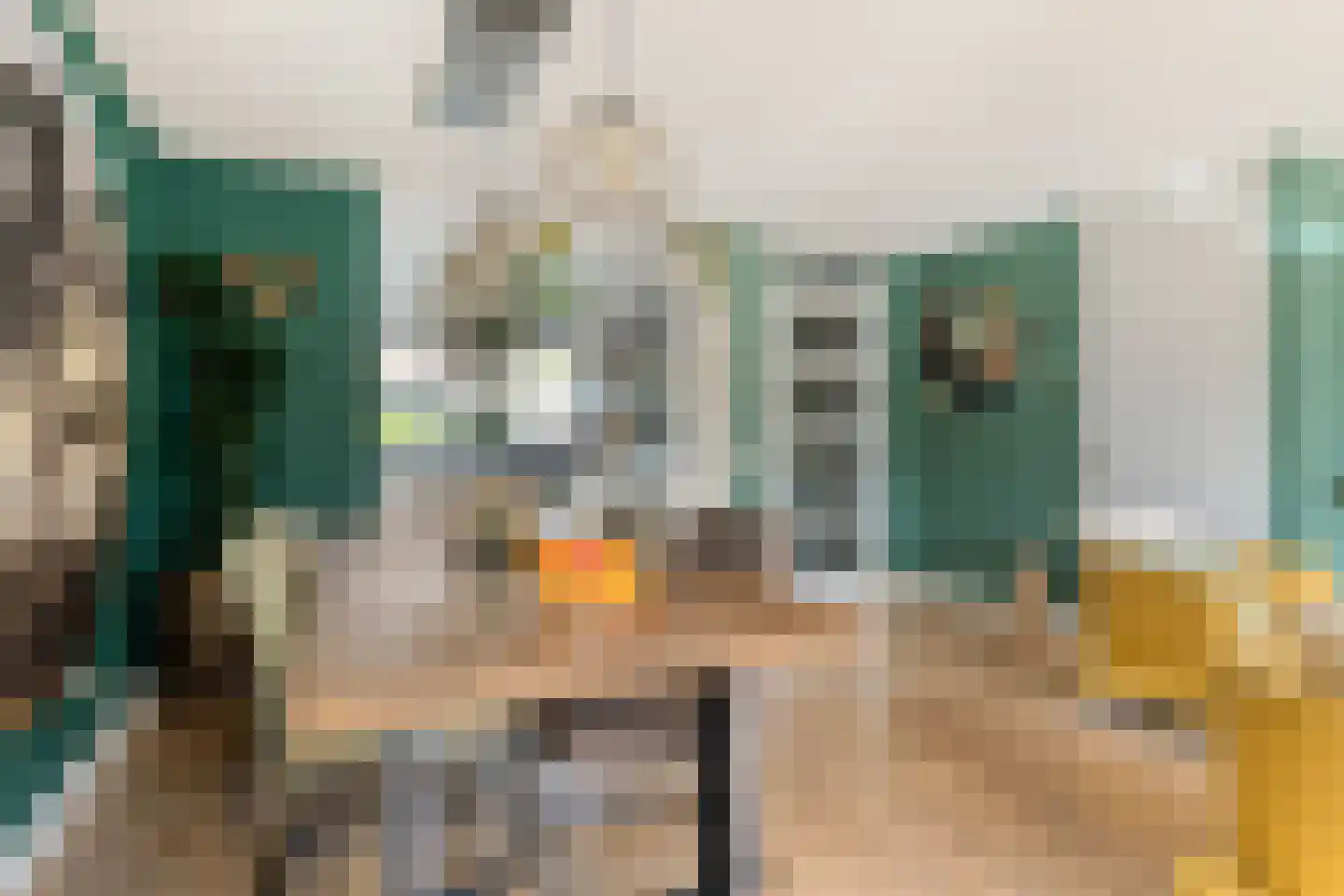 Tomatenstraat 1 Wateringen thumbnail 10
