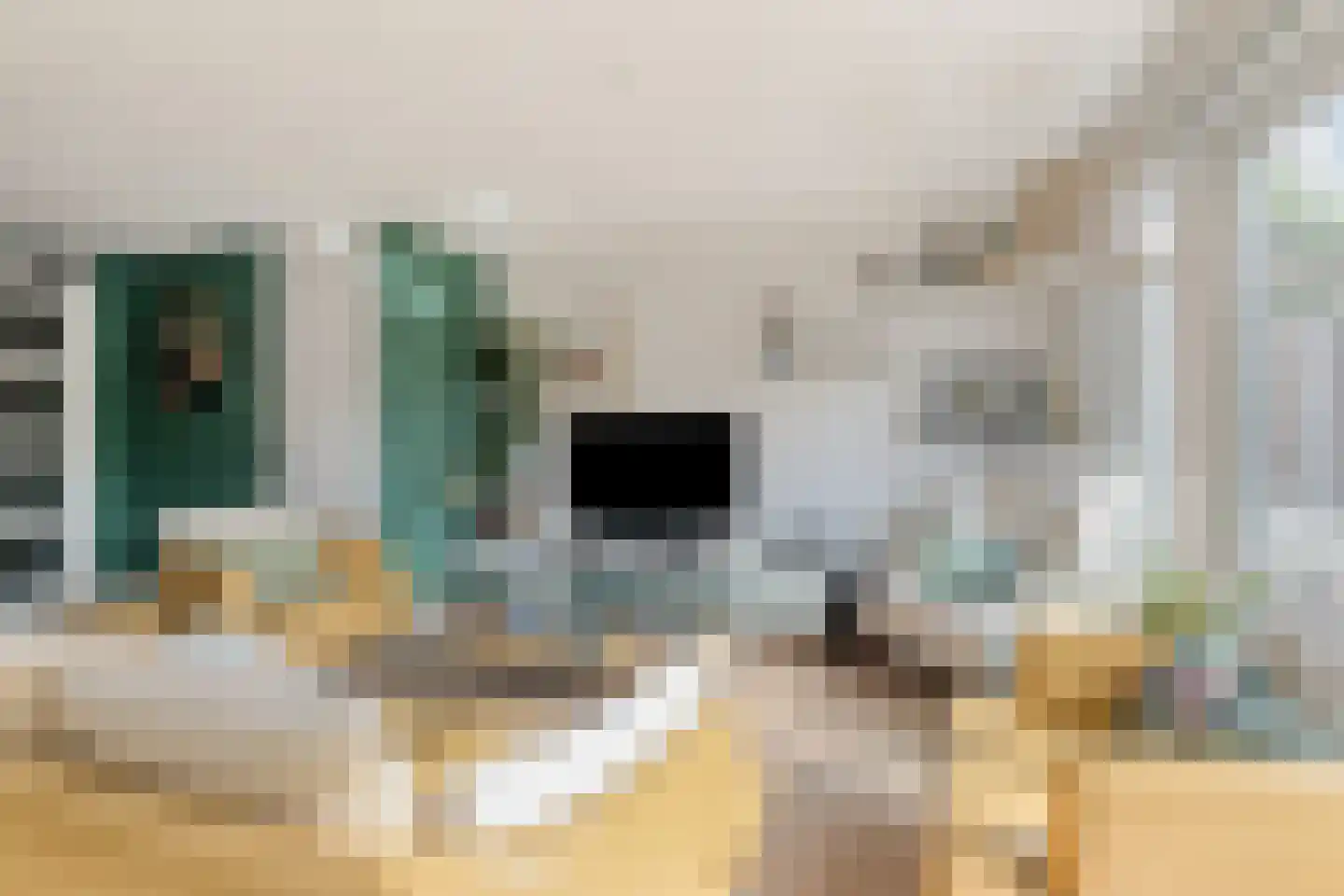 Tomatenstraat 1 Wateringen thumbnail 11