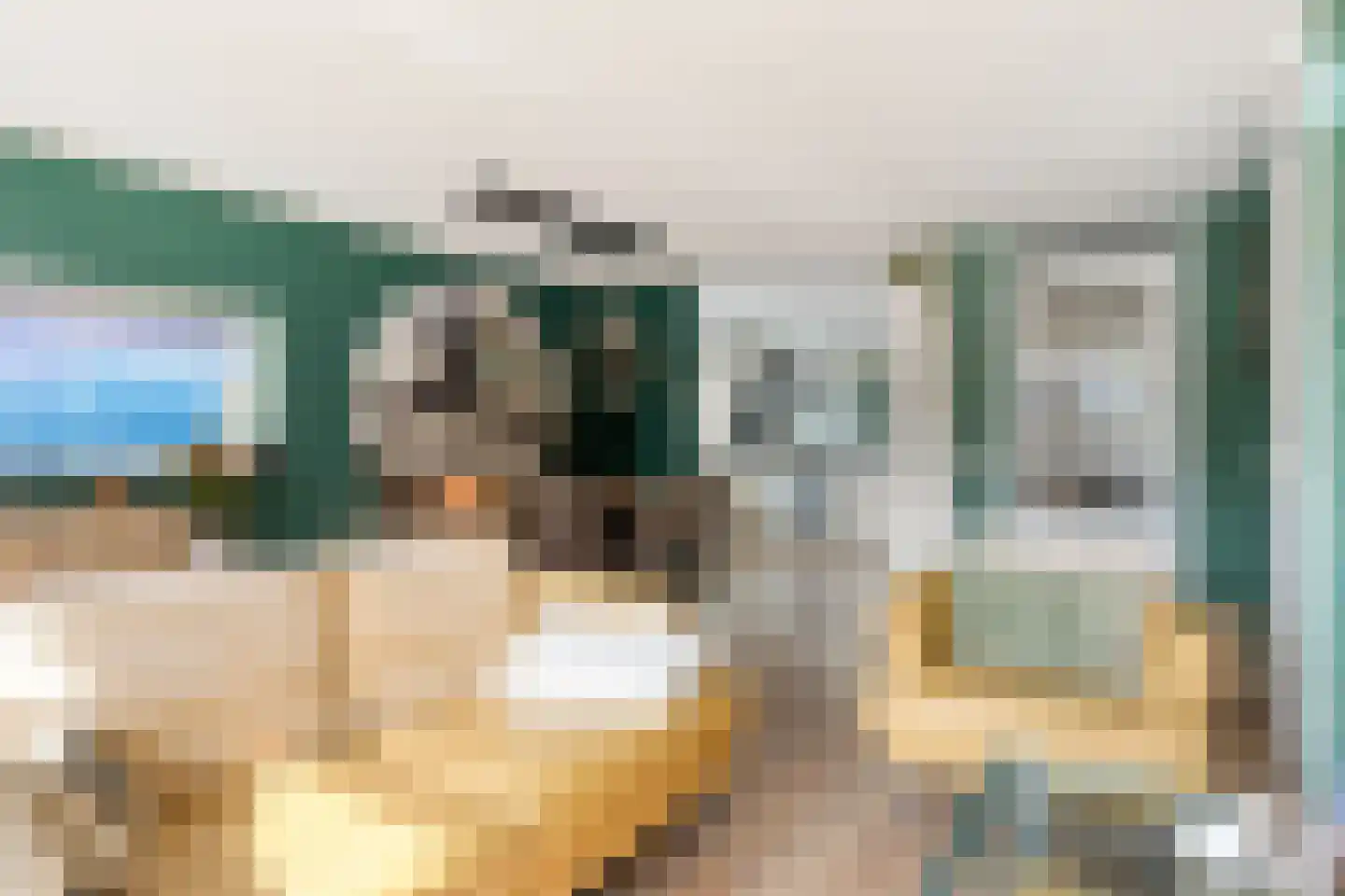 Tomatenstraat 1 Wateringen thumbnail 12