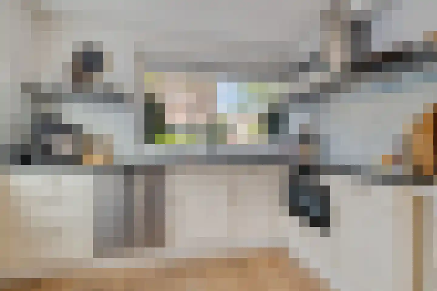 Tomatenstraat 1 Wateringen thumbnail 14