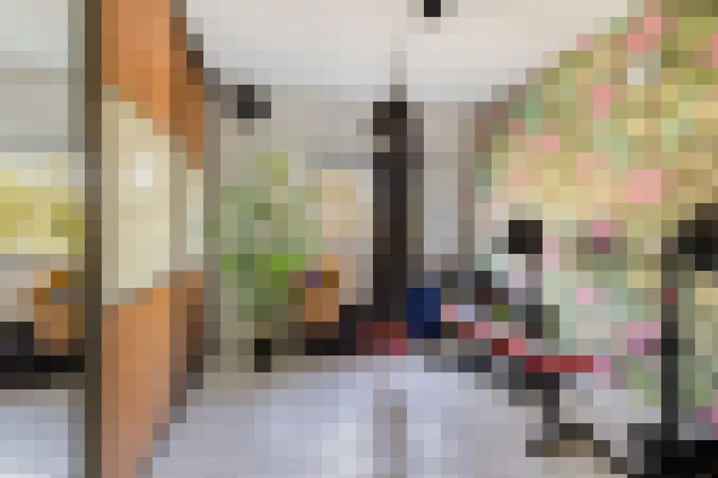 Tomatenstraat 1 Wateringen thumbnail 21