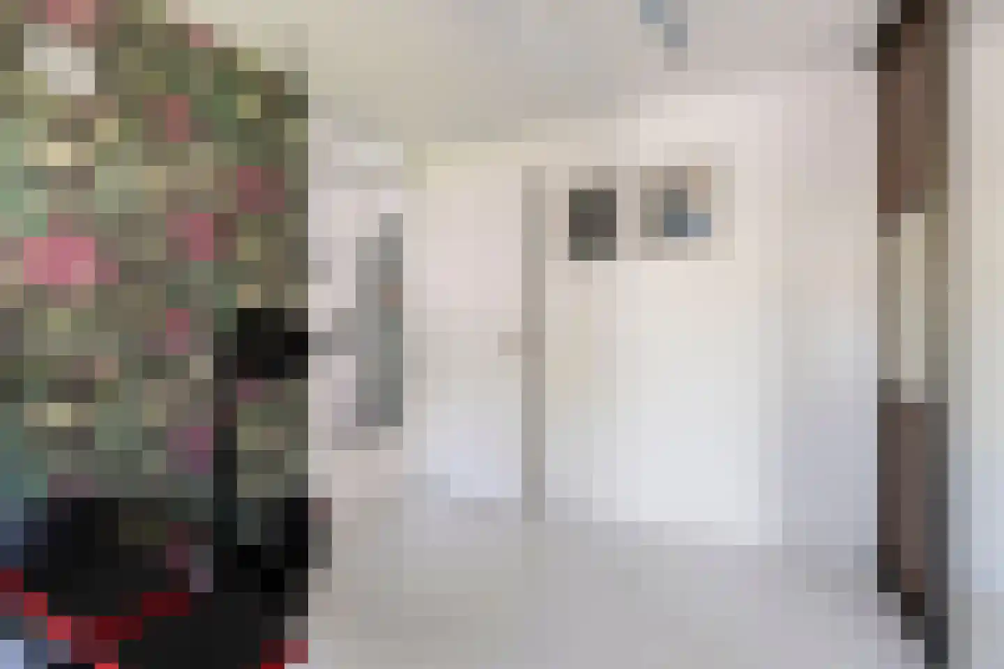 Tomatenstraat 1 Wateringen thumbnail 22