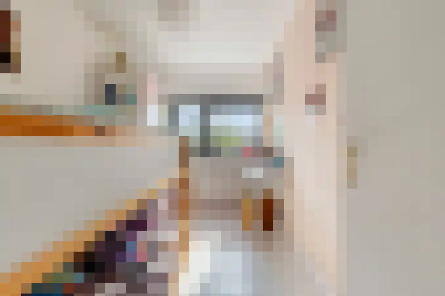 Tomatenstraat 1 Wateringen thumbnail 23