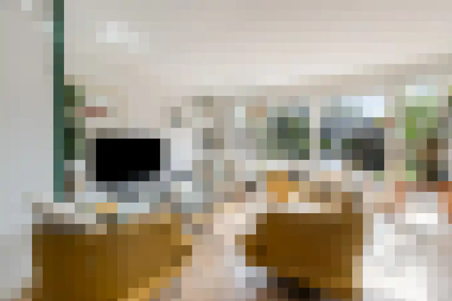Tomatenstraat 1 Wateringen thumbnail 6