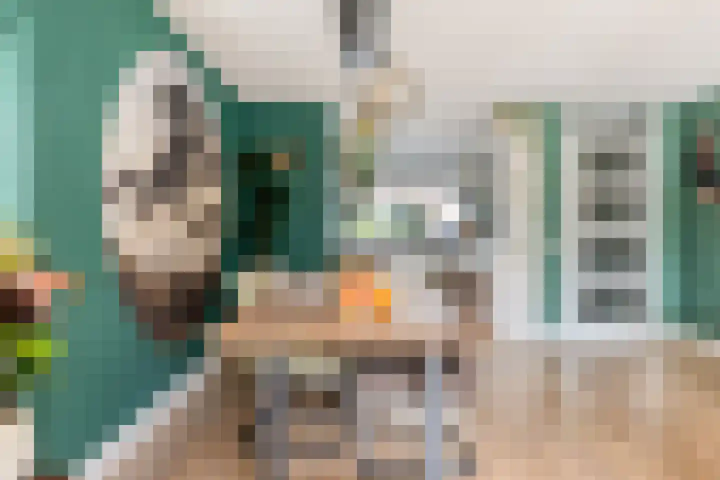 Tomatenstraat 1 Wateringen thumbnail 9