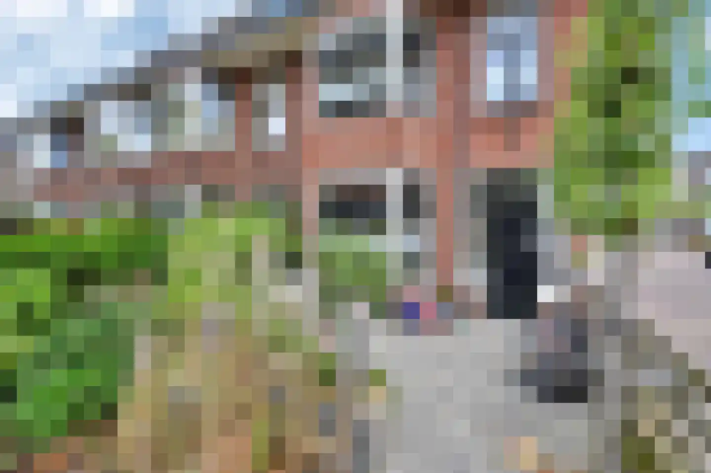 Tomatenstraat 10 Leiden thumbnail 10