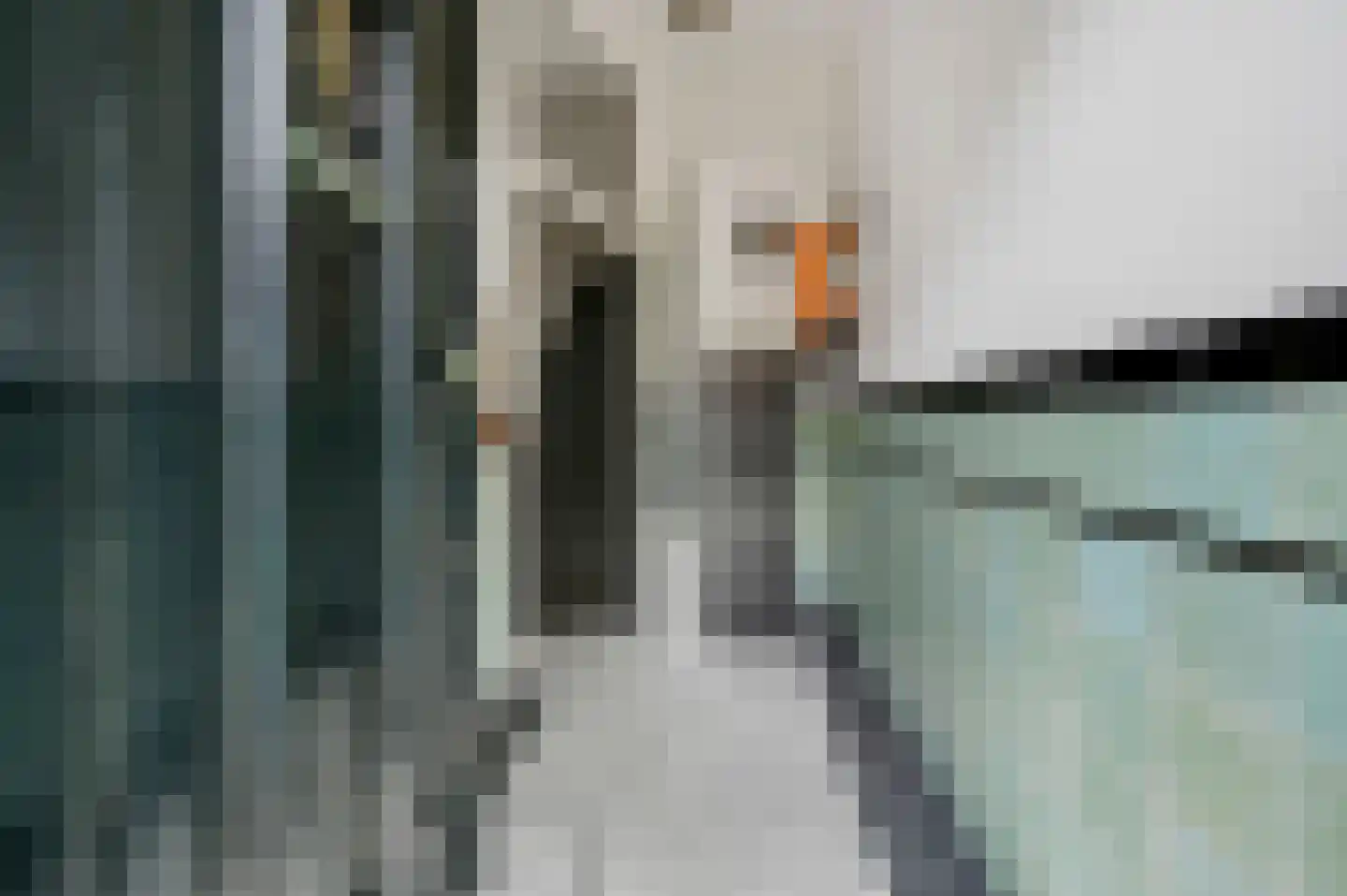 Tomatenstraat 101 Den Haag thumbnail 5