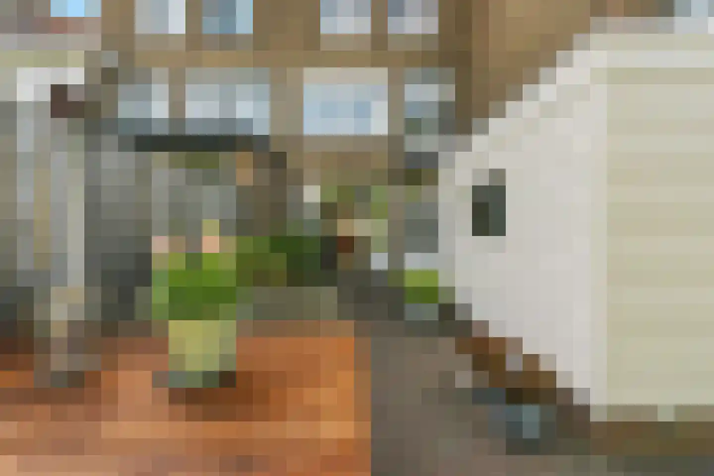 Tomatenstraat 139 Den Haag thumbnail 29
