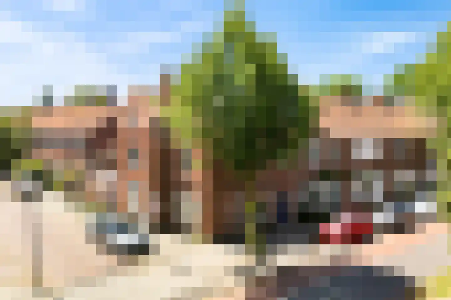 Tomatenstraat 15 Leiden thumbnail 50