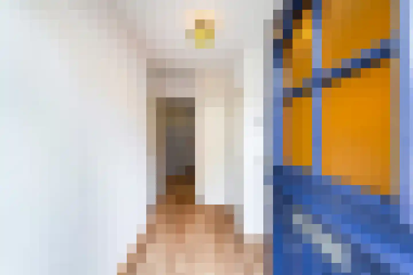 Tomatenstraat 15 Leiden thumbnail 6