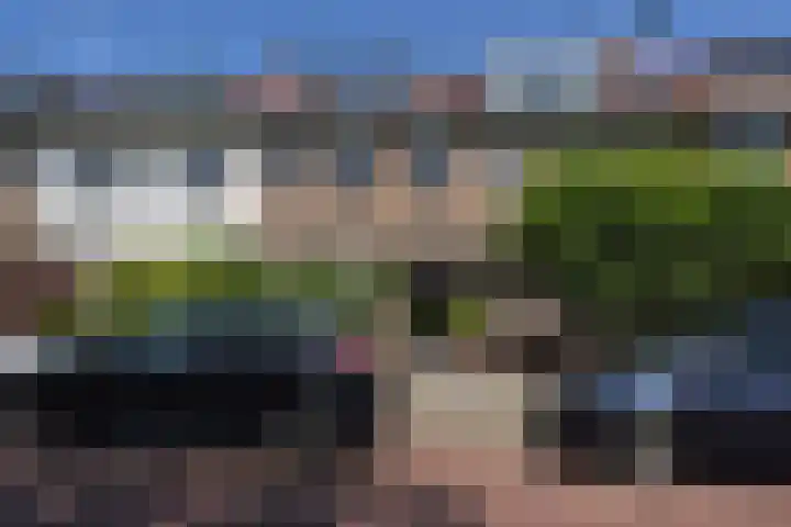 Tomatenstraat 247 in Den Haag