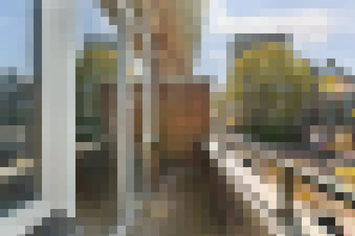 Tomatenstraat 260 Den Haag thumbnail 58