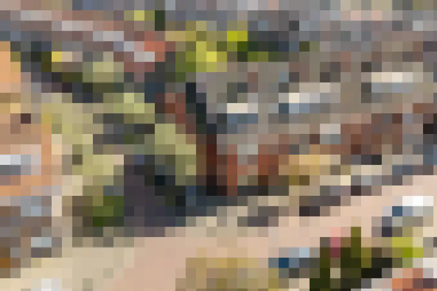Tomatenstraat 260 Den Haag thumbnail 6