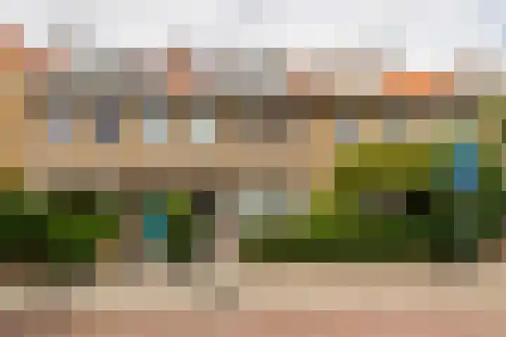 Tomatenstraat 273 Den Haag