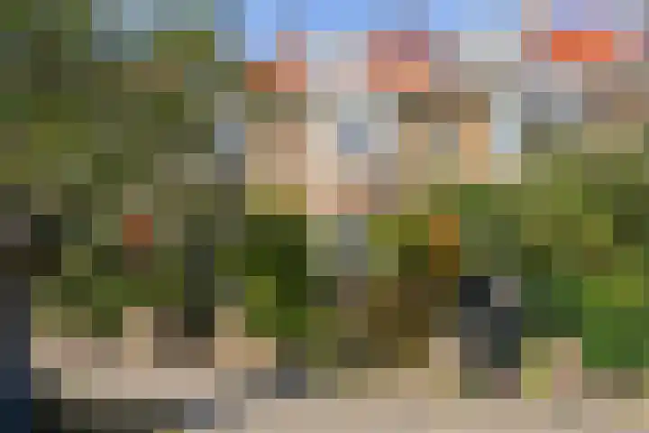 Tomatenstraat 289 in Den Haag