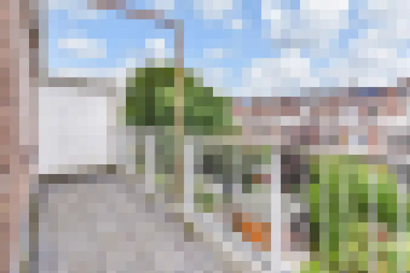Tomatenstraat 33 Den Haag thumbnail 4